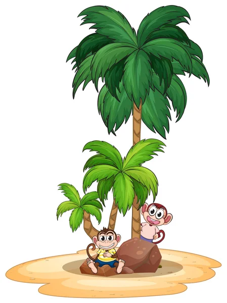 Singes et plage — Image vectorielle