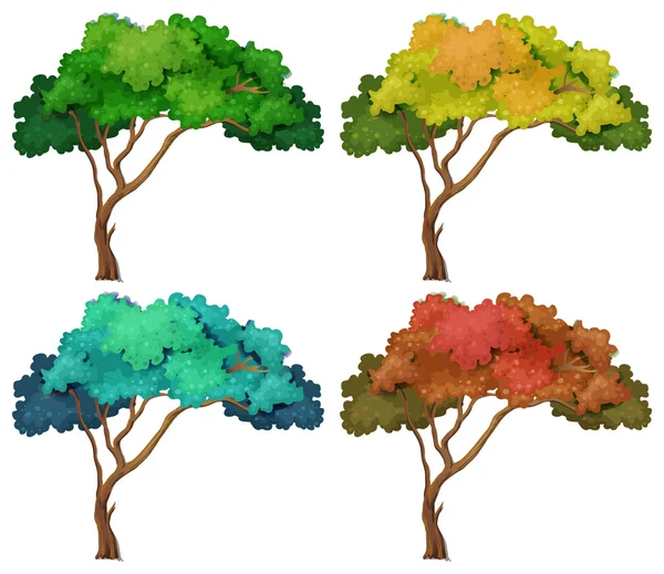 Árbol — Vector de stock