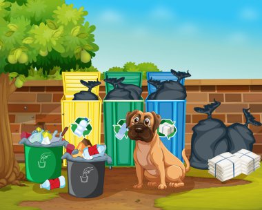 Köpek ve trashcans