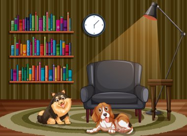 Köpekler ve oturma odası