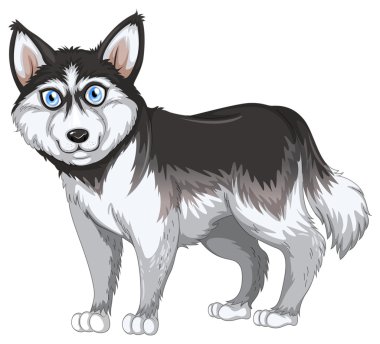 bir köpek resmi