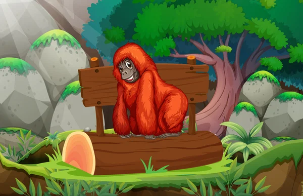 Orangutan — Stock Vector