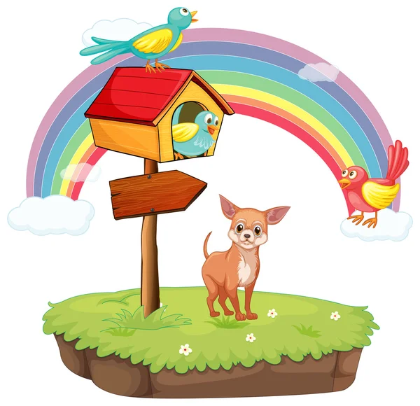 Hond en birdhouse — Stockvector