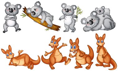 Koalas and kangaroos clipart