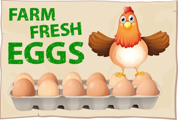 Cartaz de ovos — Vetor de Stock