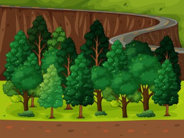Uzun ve dolambaçlı bir yol