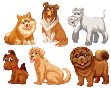 Köpeklerin farklı türler
