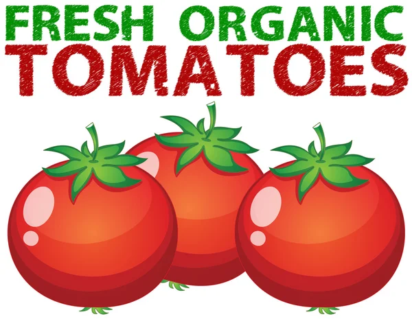 Tomates frescos — Vector de stock