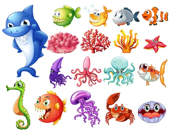 Sea creatures set — Stock Vector