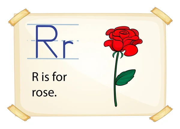 A letter R for rose — Stock Vector
