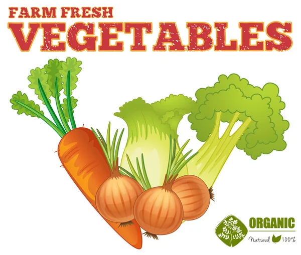 Farm fresh vegetables — Stock Vector