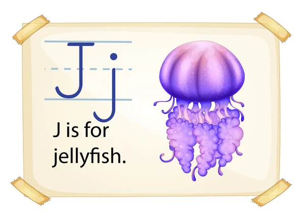 A letter J for jellyfish — Stock Vector