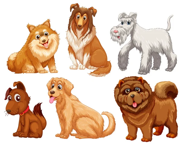 Diferentes especies de perros — Vector de stock