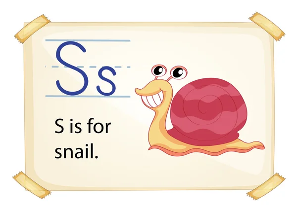 Une lettre S pour escargot — Image vectorielle