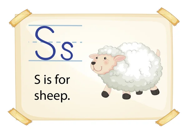 A letter S for sheep — Stock Vector