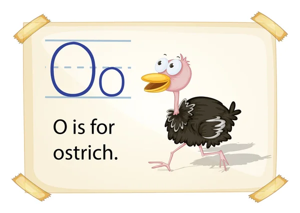 A letter O for ostrich — Stock Vector