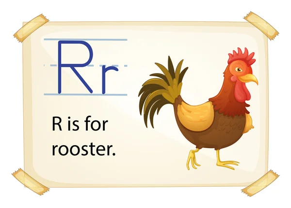 A letter R for rooster — Stock Vector