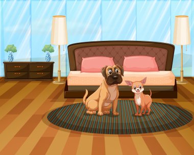 İki köpek.