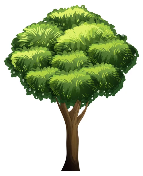 Un árbol grande — Vector de stock