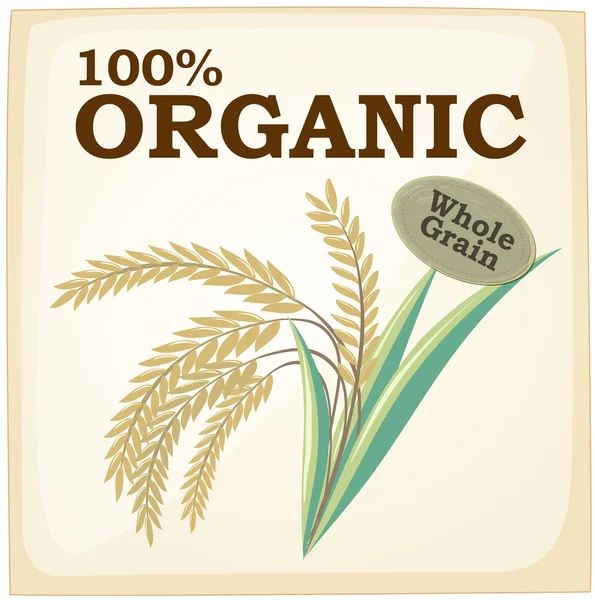 Organické — Stockový vektor