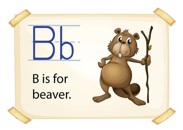 A letter B for beaver — Stock Vector