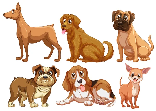 Dogs — Stock Vector