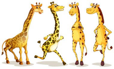 giraffes clipart