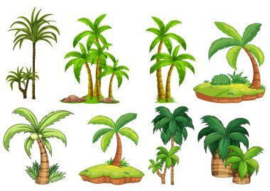 Palm trees clipart