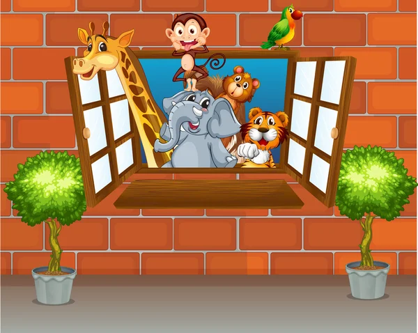 Zoo animals at the window — Stock Vector