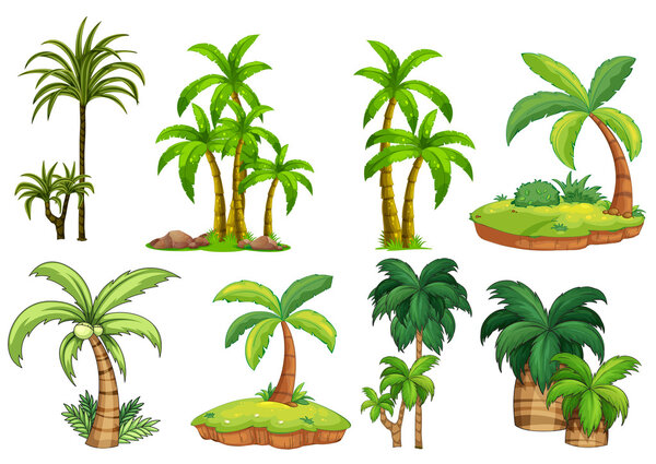 Palm trees — Stock Vector
