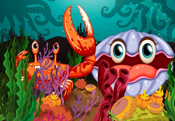 A big crab and a clam — Stock Vector