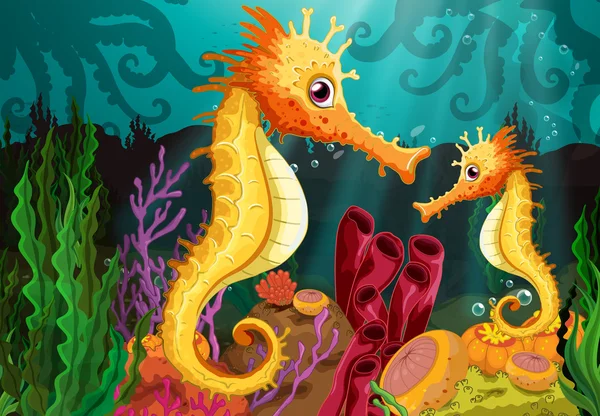 Two seahorses under the sea — Stock Vector