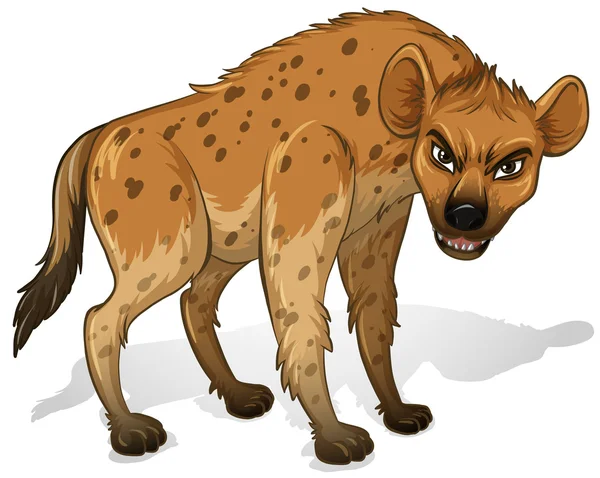 Hyena — Stockvector