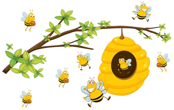 Beehive — Stock Vector