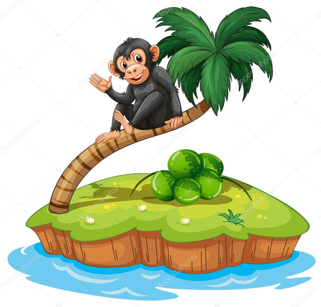 A monkey above the coconut tree