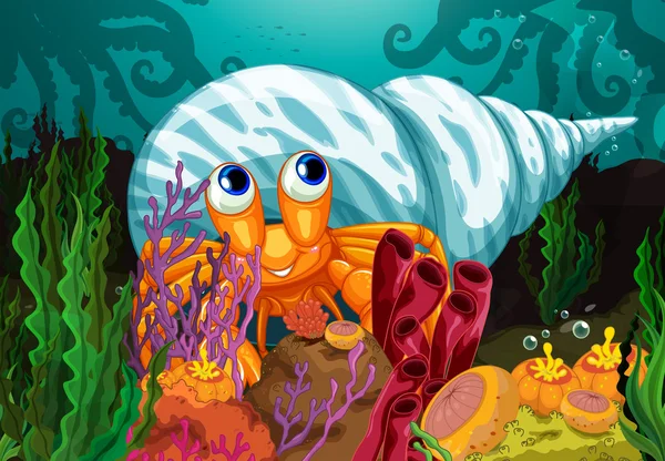 Shell Sungaiストックベクター ロイヤリティフリーshell Sungaiイラスト ページ 8 Depositphotos