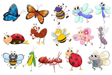 Insects clipart