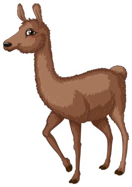 Lama.