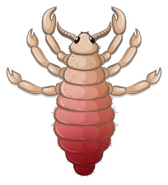 A louse clipart