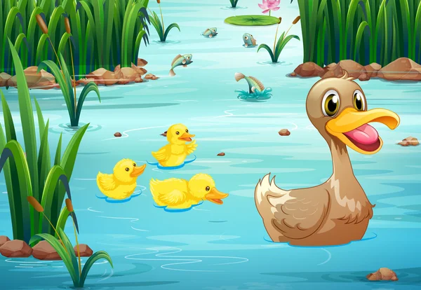 鸭子和池塘 — 图库矢量图片