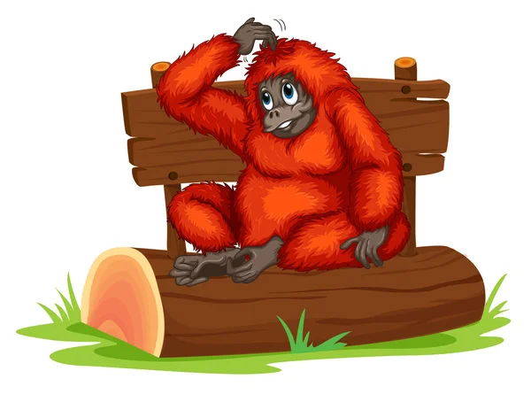 Orangutan — Stok Vektör