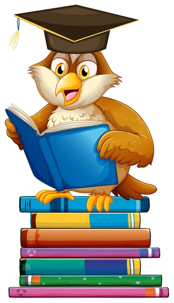 Owl and books — Stock Vector