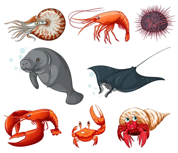 Animales de mar camarones de dibujos animados imágenes de stock de arte  vectorial | Depositphotos