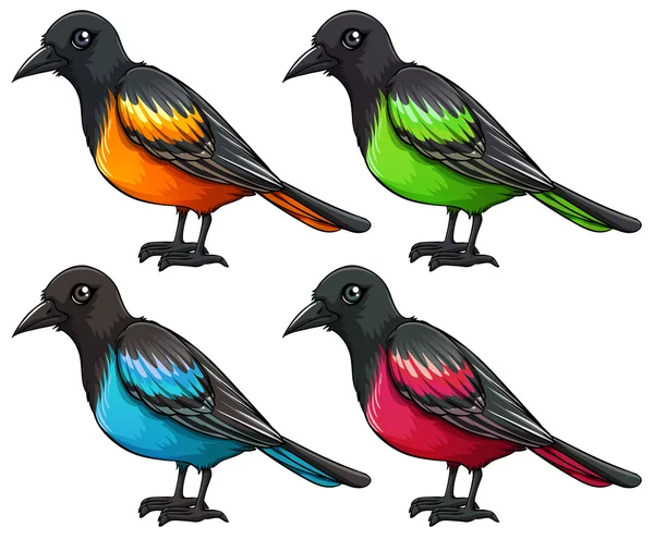 Conjunto de aves — Vector de stock