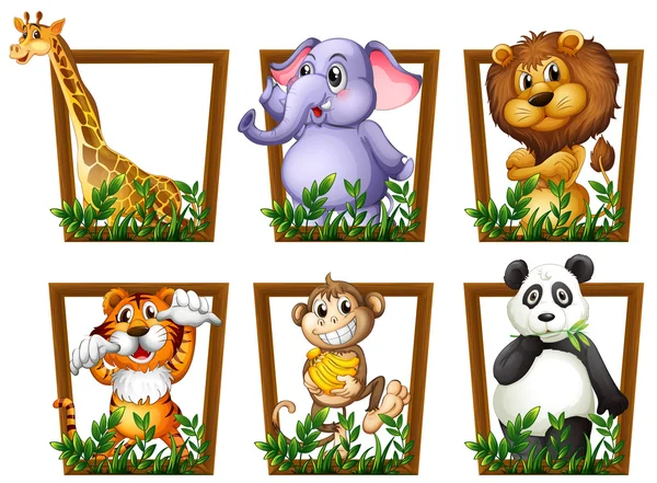 Dieren illustratie — Stockvector