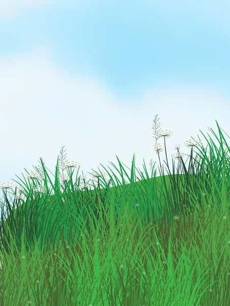 Fält med högt gräs — Stock vektor