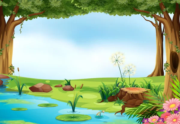 Scene of a pond — Stock Vector
