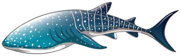 Tiburón ballena — Vector de stock