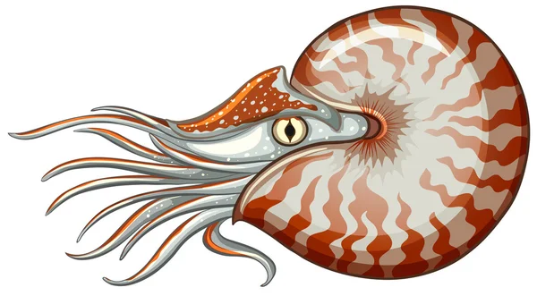 Animais marinhos Ilustrações De Stock Royalty-Free