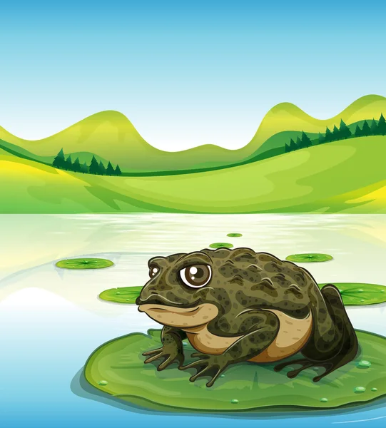 Frosch und Teich — Stockvektor